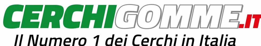 GOODYEAR 205/65 R15 102/100T Neumáticos Todas las estaciones LCamión