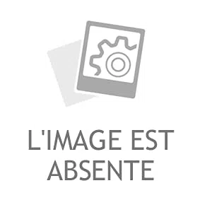 3RG INDUSTRIAL - Kit Soporte Motor Trasero- OEM 1404996 BP4K-39-040F - Piezas para Coche Recambios Motor y Otras Partes de Vehículo | Compatible con los Modelos de Coche y Moto indicados más Abajo.