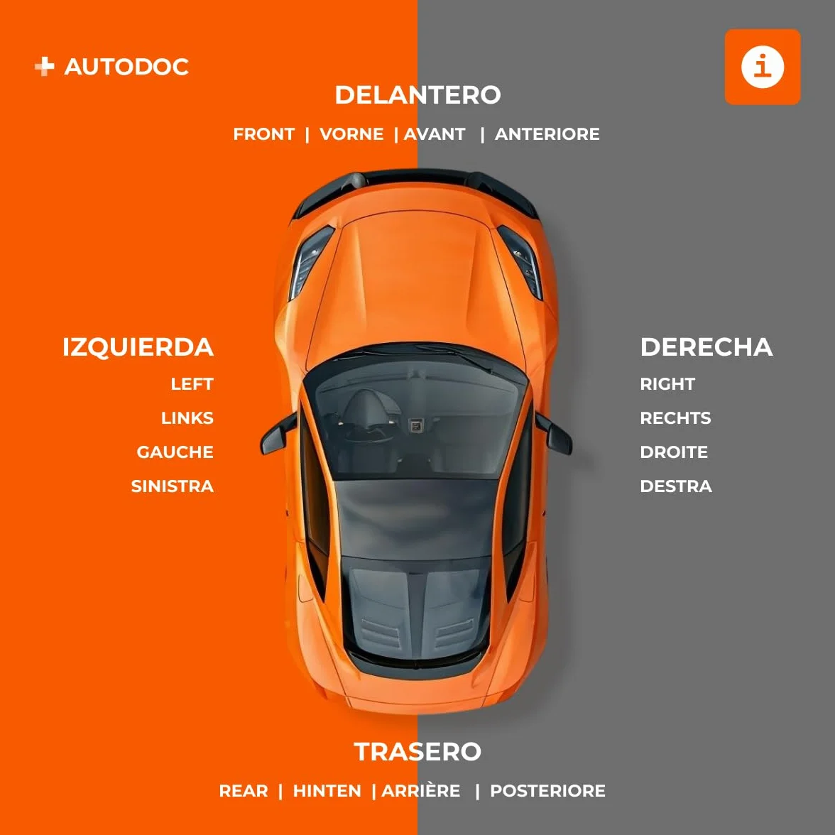 RIDEX 234M0134 Cilindro maestro embrague con depósito con depósito para agentes deshidratantes Compatible con NISSAN NAVARA D22