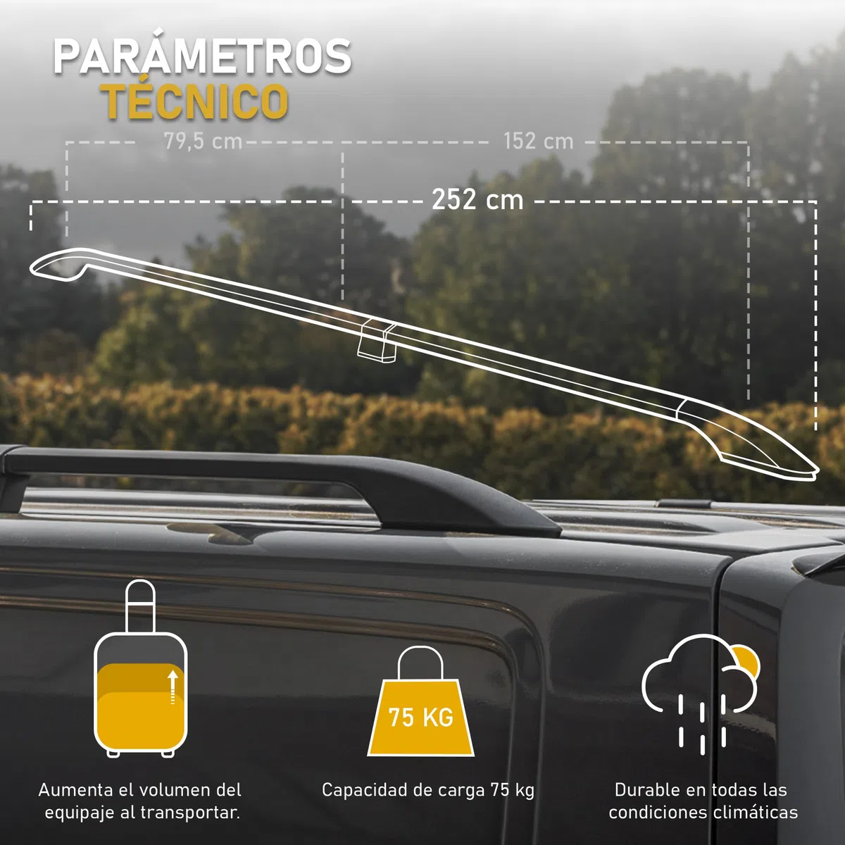 CHROMEMASTER | Compatible con Renault Trafic 3 Short L1 2014+ | Barras Portaequipajes, Rieles de Techo; Se Utilizan para el Montaje de Portaequipajes de Techo, Cajas de Techo o Portabicicletas