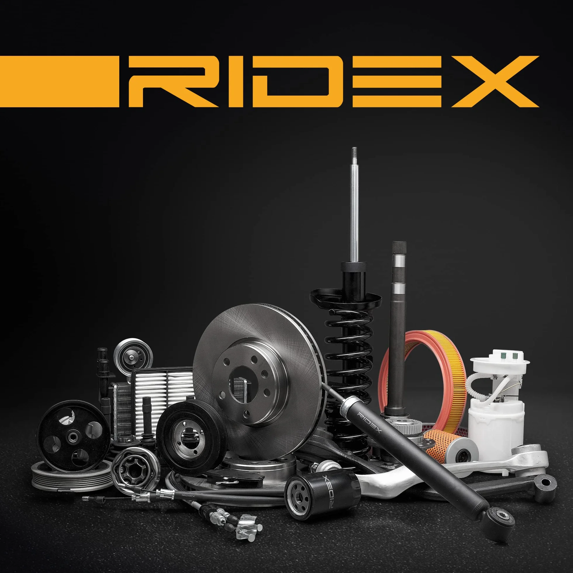RIDEX 273C0557 Barra oscilante de suspensión de ruedas Delantero Izquierda con rótula de suspensión/carga con apoyo de caucho con tuerca Compatible con BMW 3 Touring F31